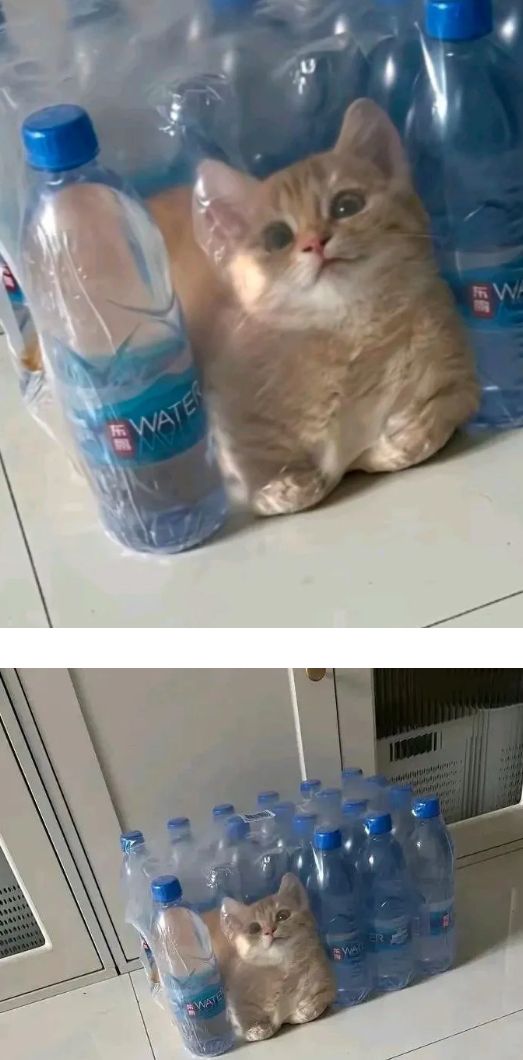 17627000873885.jpeg