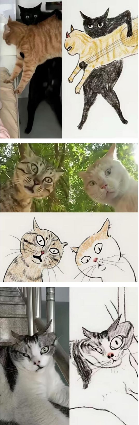 17627856983783.jpeg