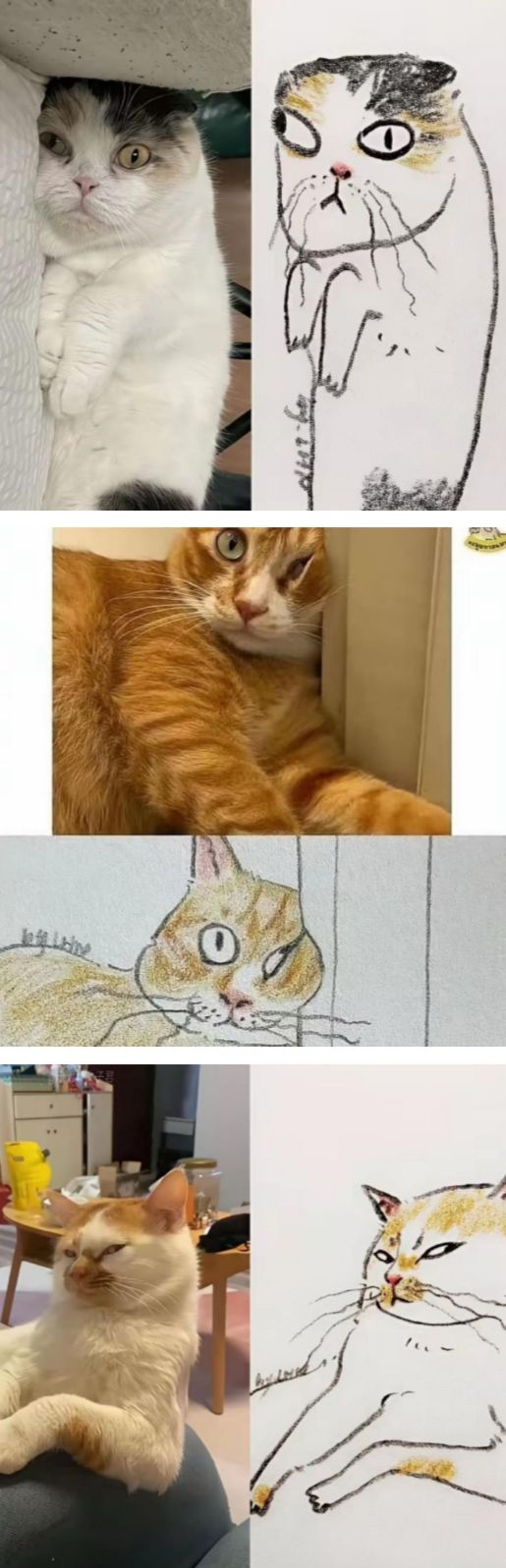 17627856985157.jpeg