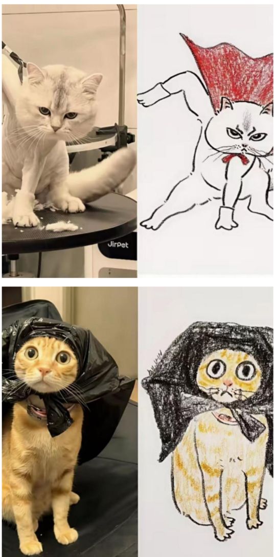 17627856985943.jpeg