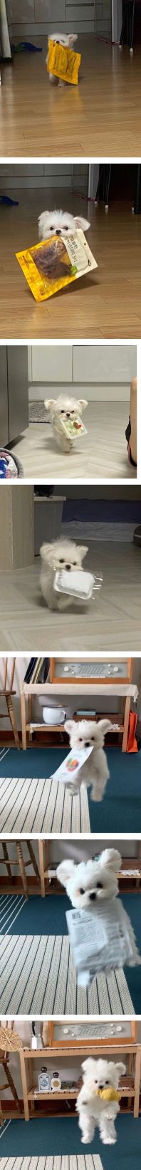 17629638715187.jpeg
