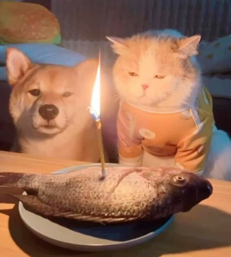 17650394405764.jpeg