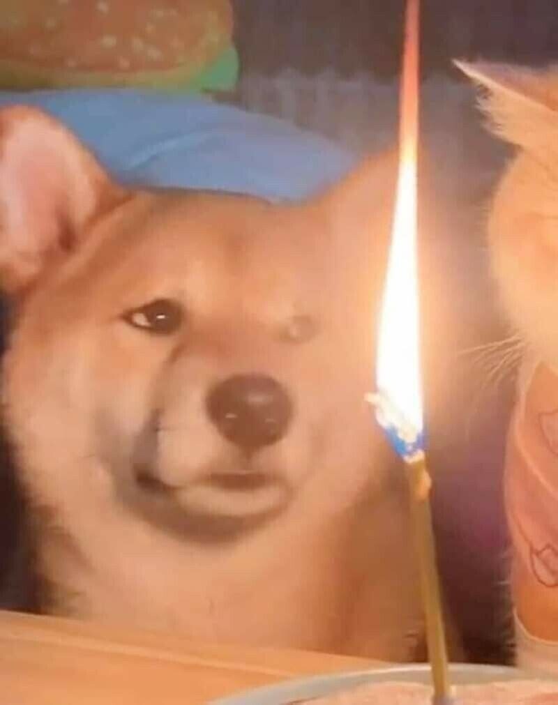 17650394406693.jpeg