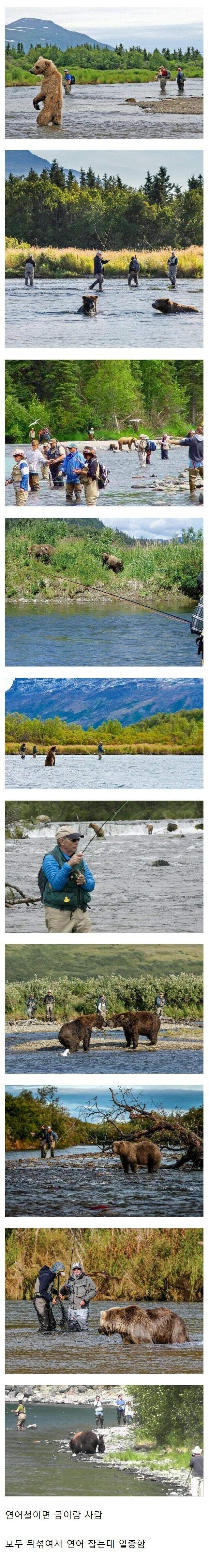 17666789833094.jpeg