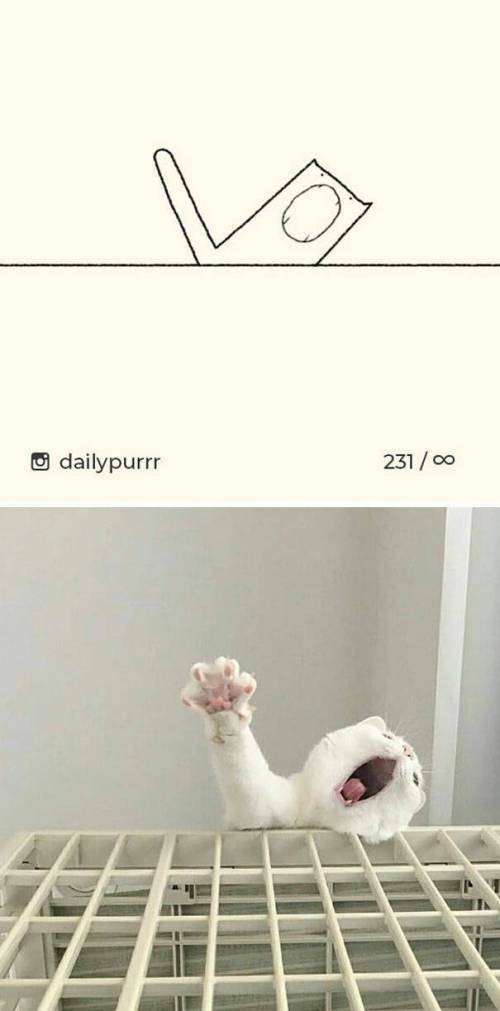 17669325185953.jpeg