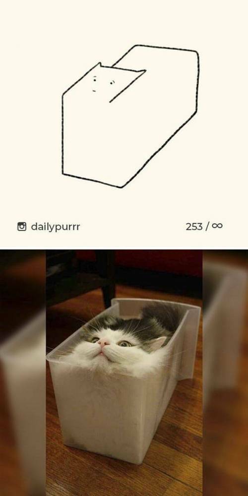 17669325186726.jpeg