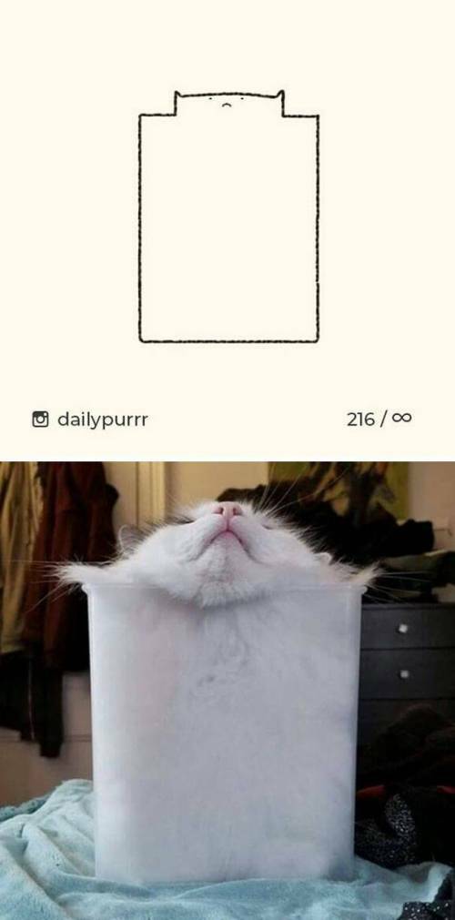 17669325188263.jpeg