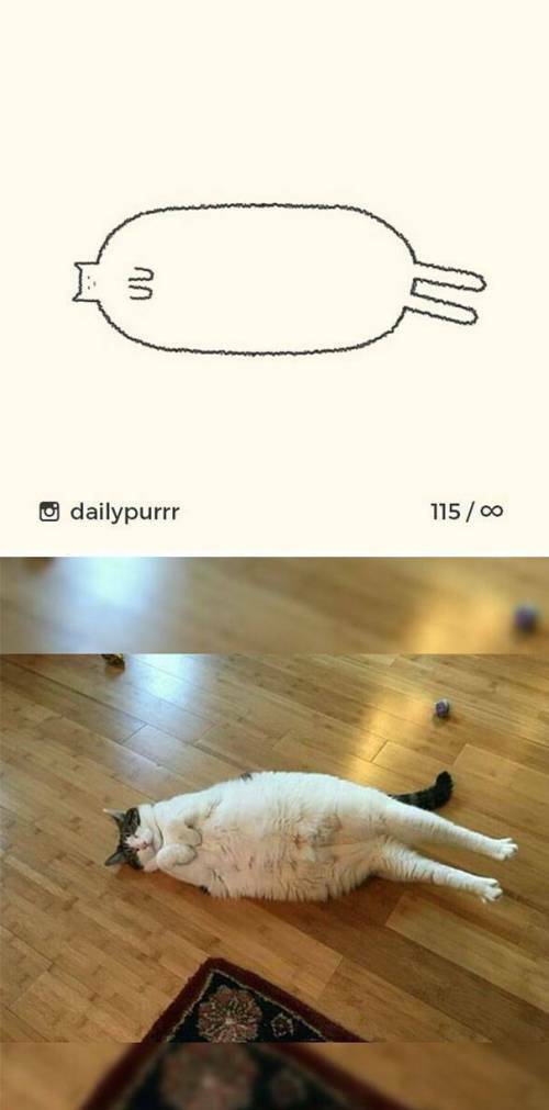17669325188907.jpeg