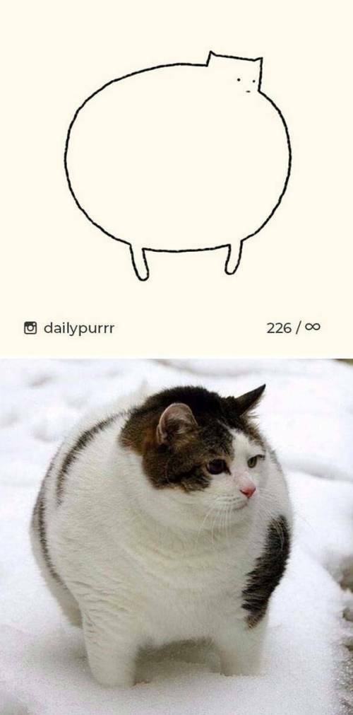 17669325189757.jpeg
