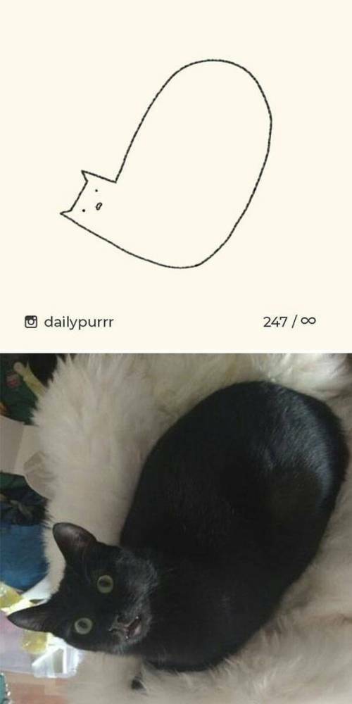 1766932519094.jpeg