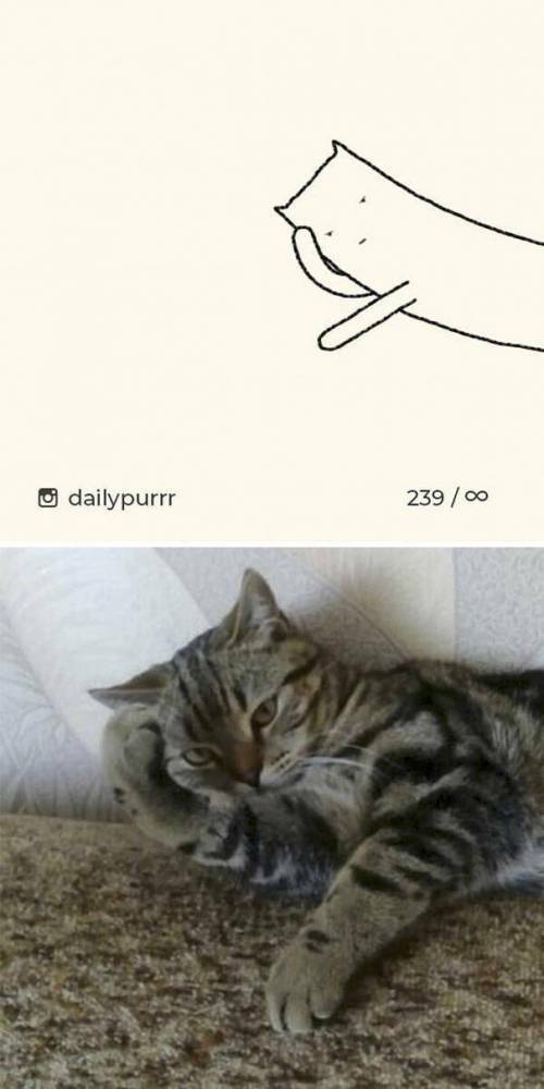 17669325191707.jpeg
