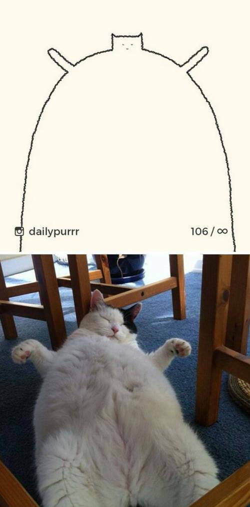 17669325192555.jpeg