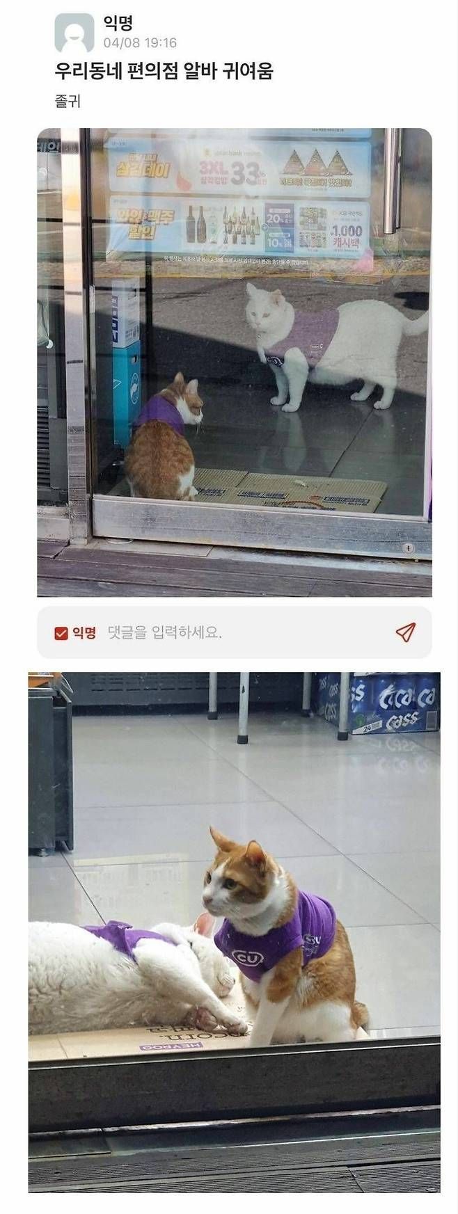 17685769964527.jpeg