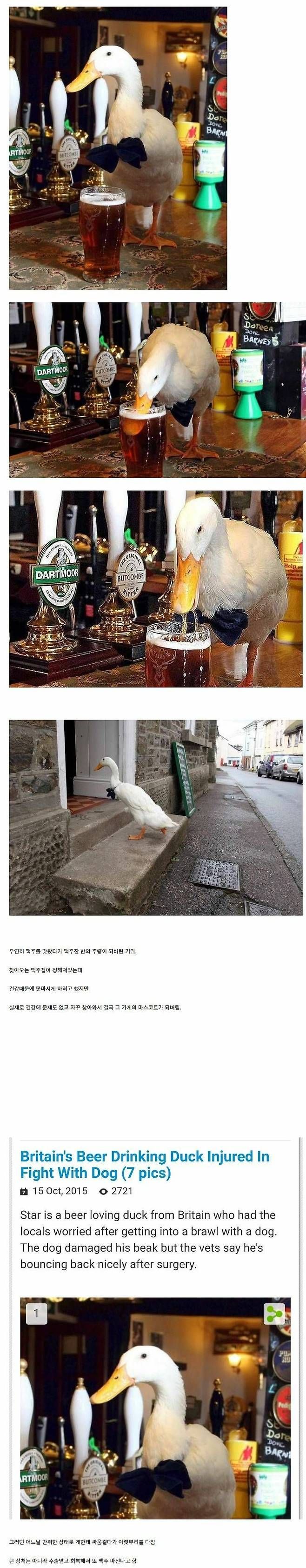 1769703590931.jpeg