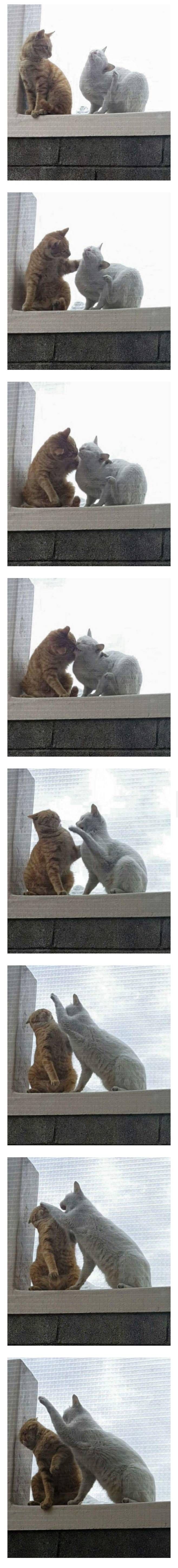 17697851272399.jpeg