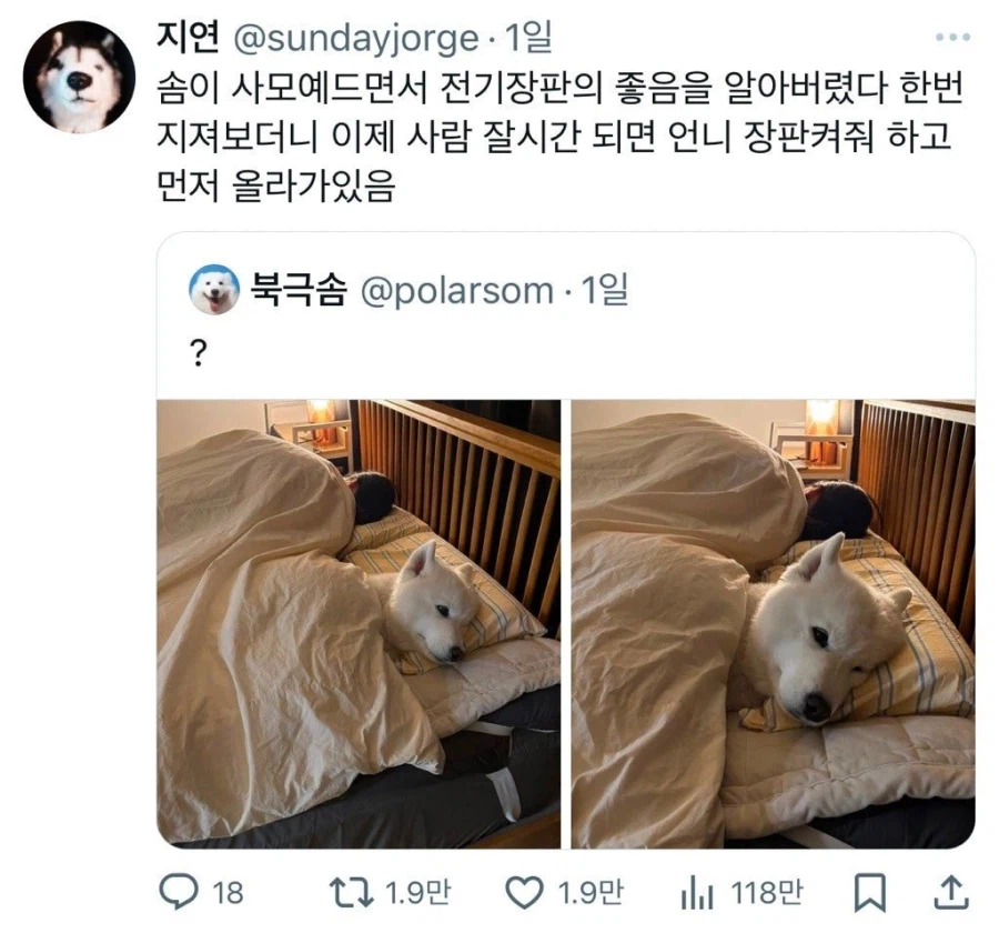 17703058083091.webp