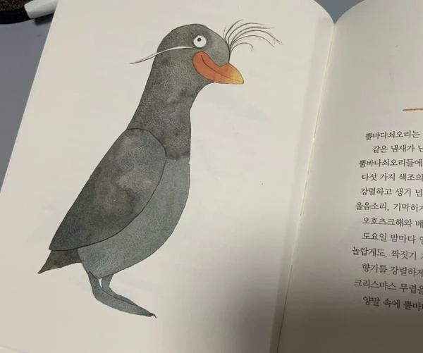 17706589118468.webp