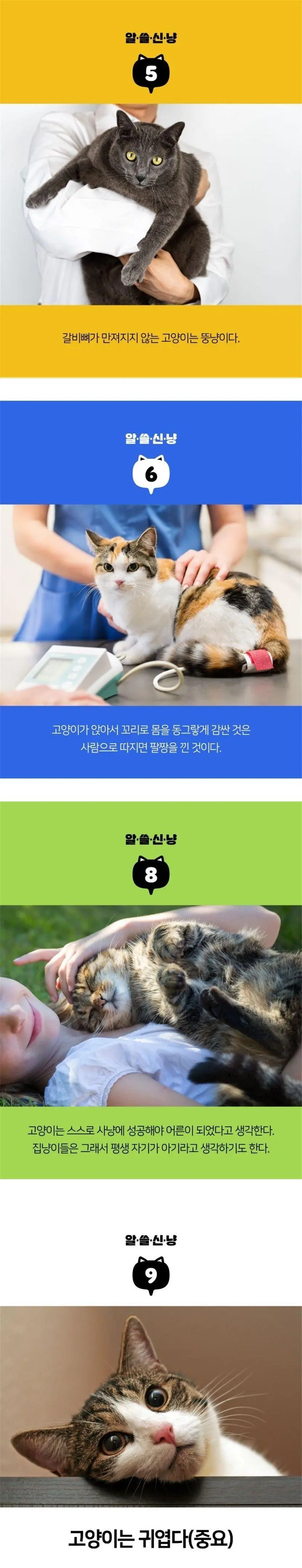 17710787153066.webp