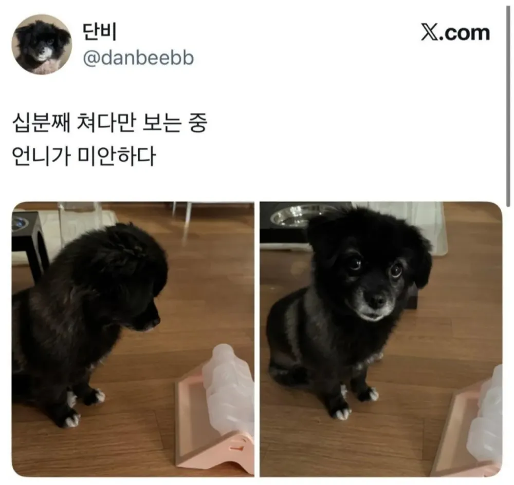 177013896092.webp