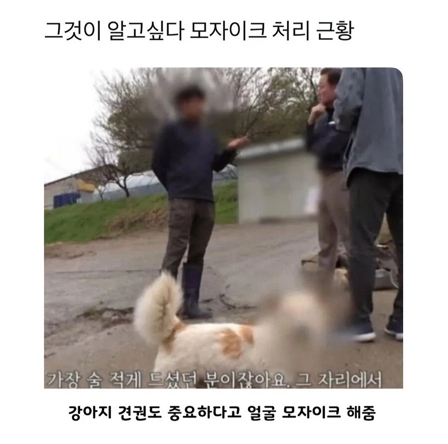 17725619727476.webp