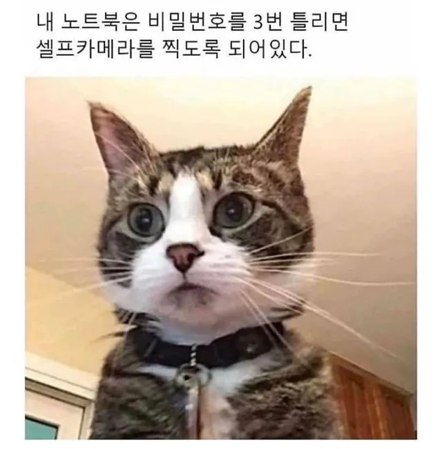 17794657315443.webp
