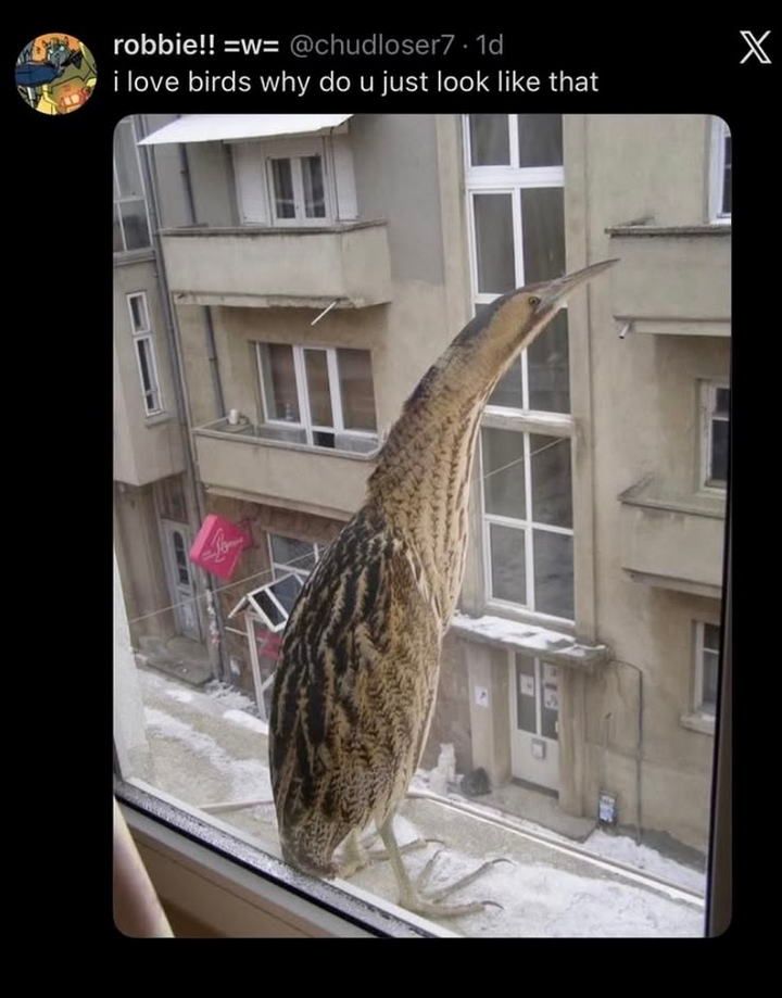 17892023521224.jpeg