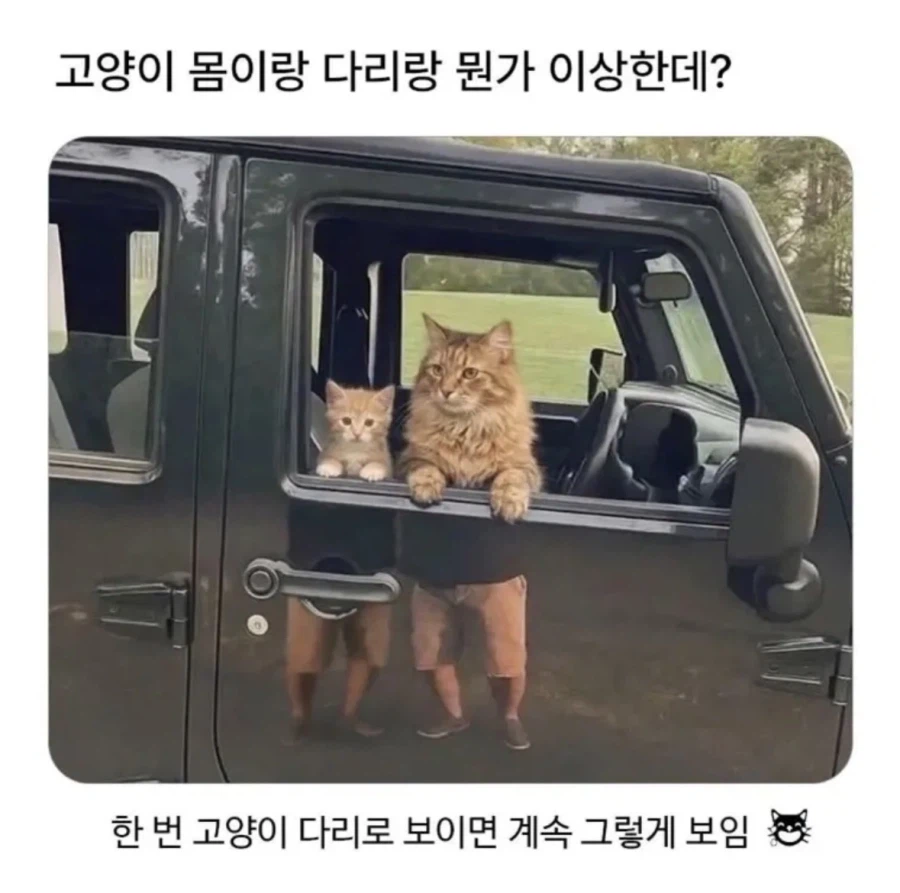 17892024263507.webp