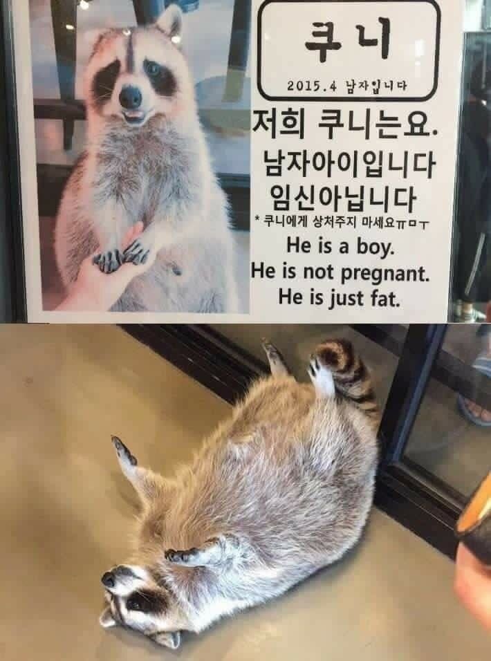 17892024293355.jpeg