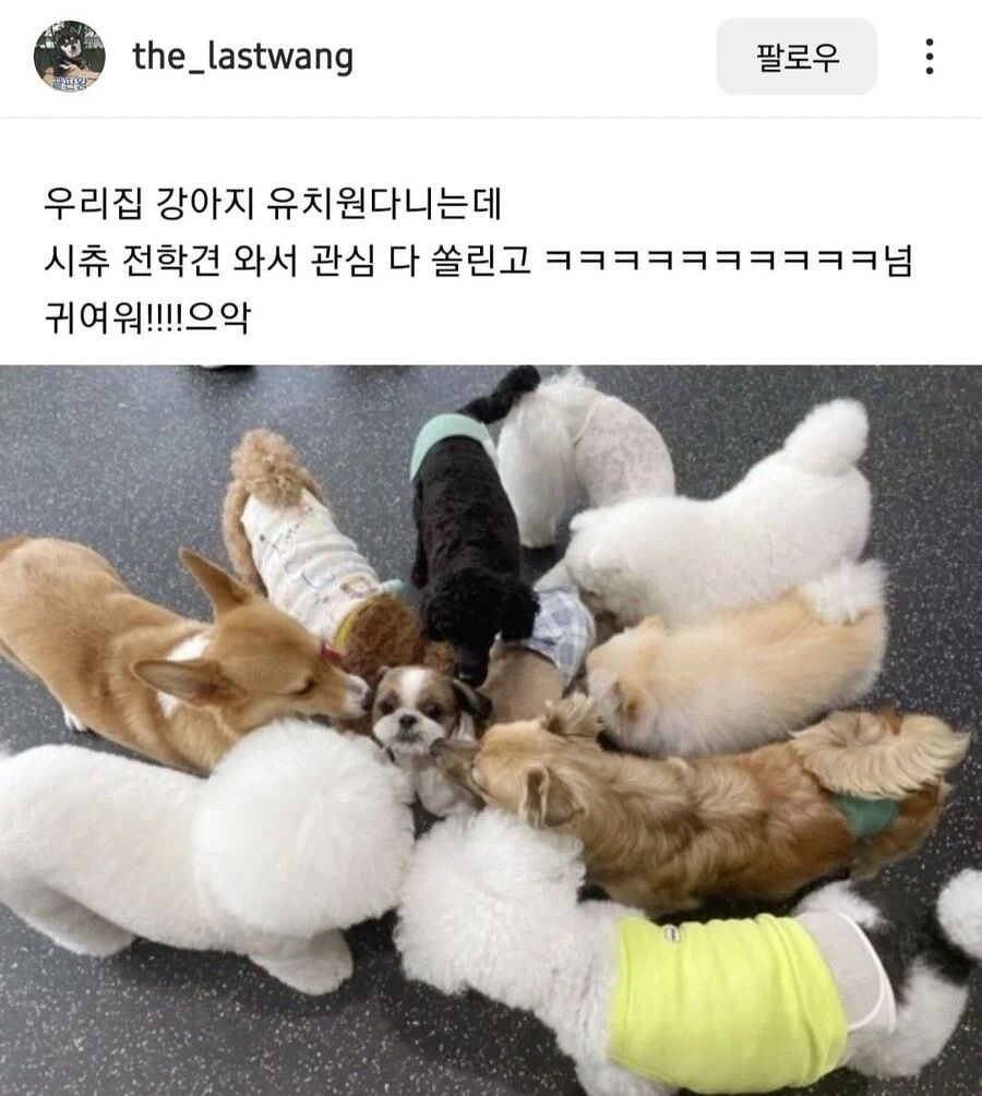 17892025736254.jpeg