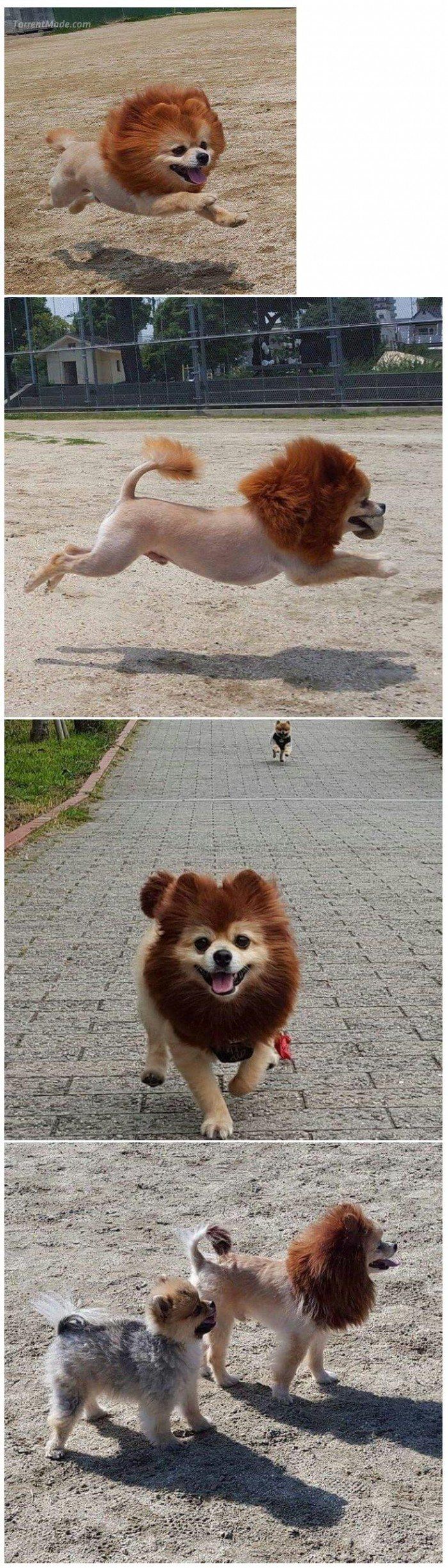 17892025937409.jpeg