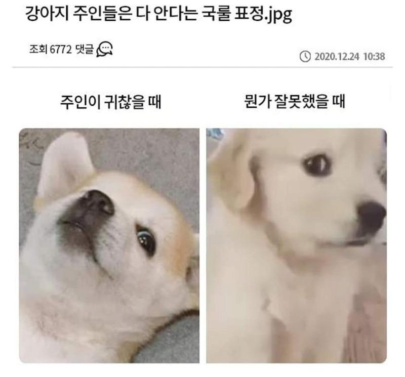 17892027508308.png