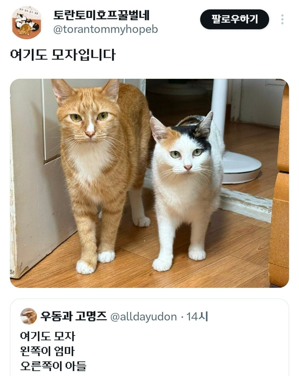 17892025874797.jpeg